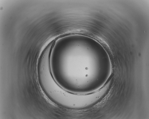 X0000064770792200602171823