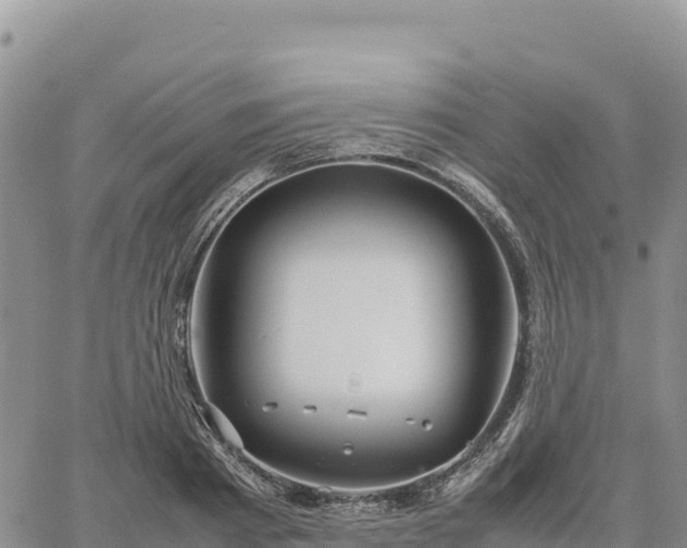 X0000064770793200602171823