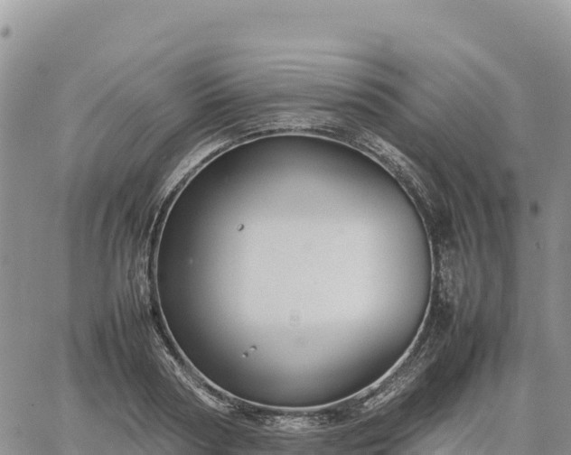 X0000064770794200602171823