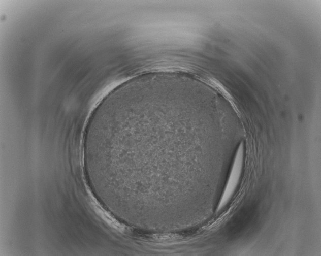 X0000064770795200602171823