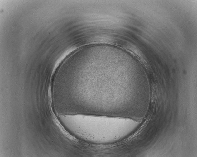 X0000064770796200602171823