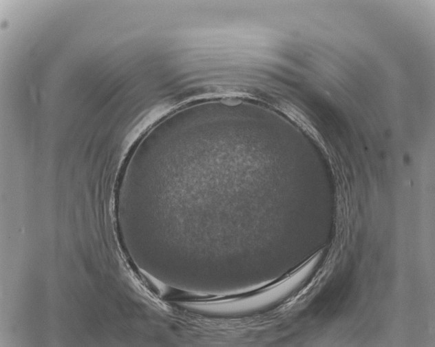 X0000064770797200602171823