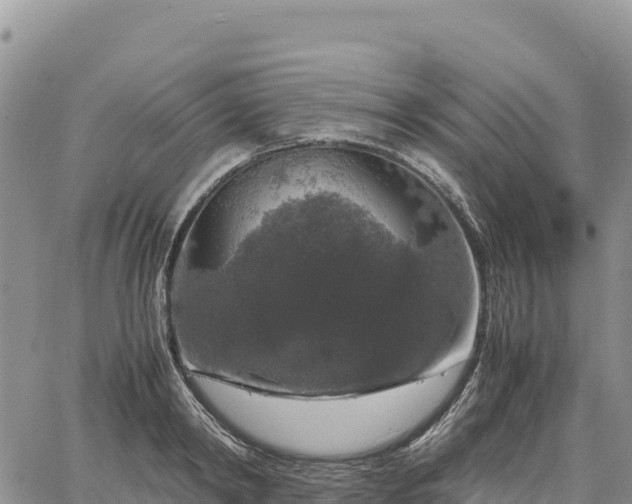 X0000064770798200602171823