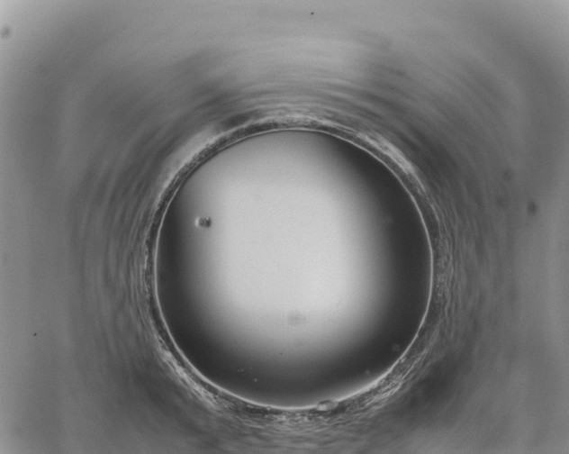 X0000064770799200602171823