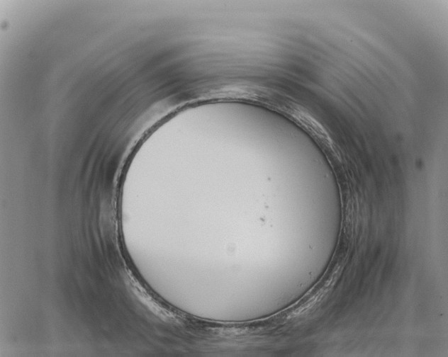 X0000064770800200602171823