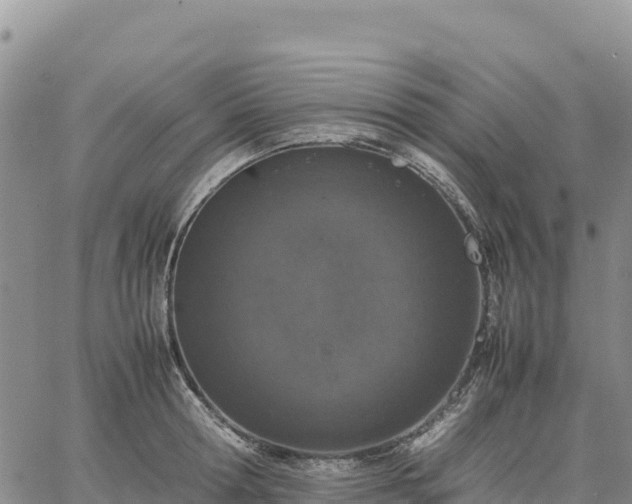 X0000064770802200602171823