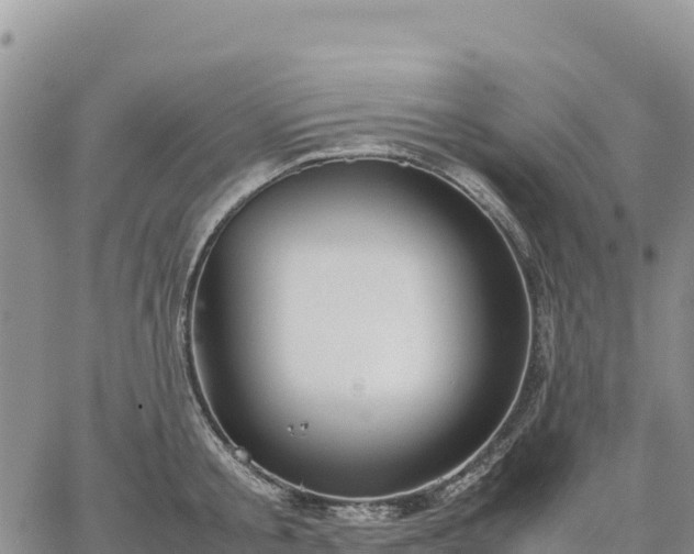 X0000064770805200602171823