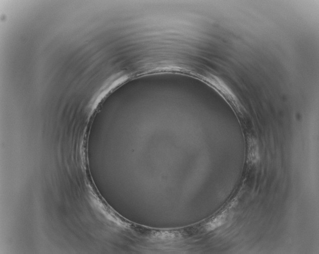 X0000064770806200602171823