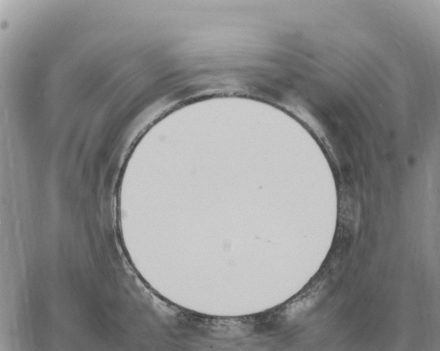 X0000064770807200602171823