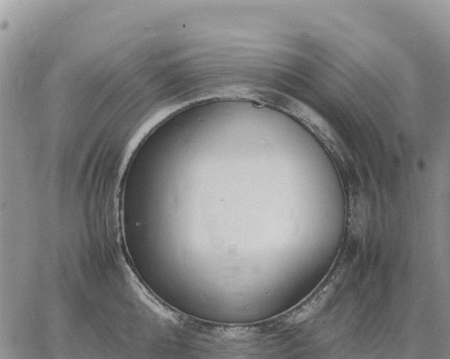 X0000064770808200602171823