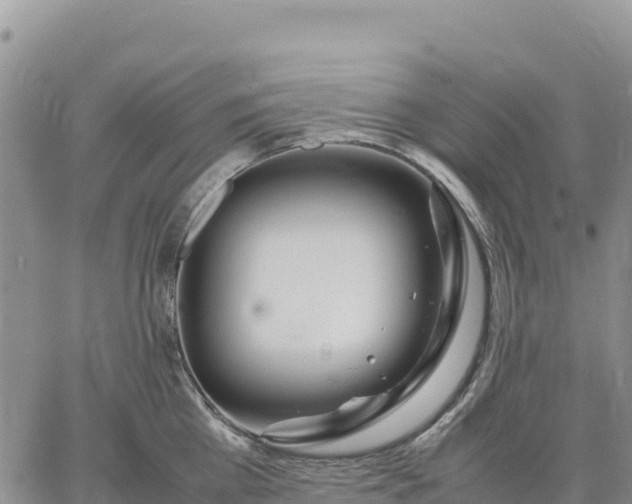 X0000064770809200602171823