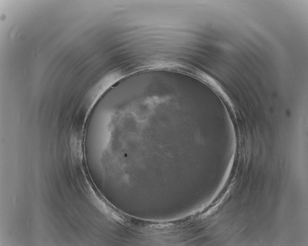 X0000064770810200602171823