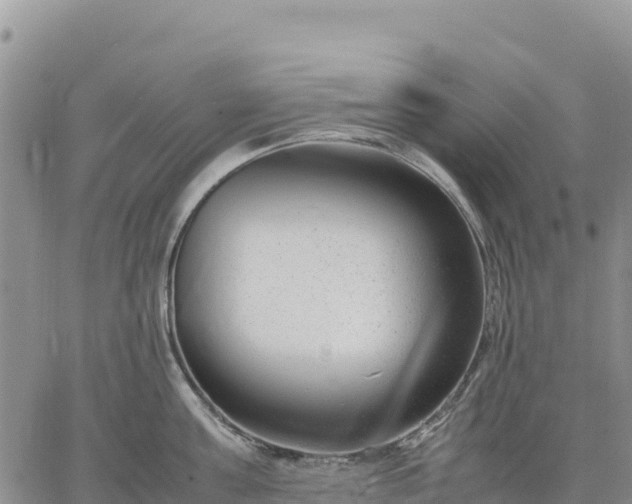 X0000064770811200602171823