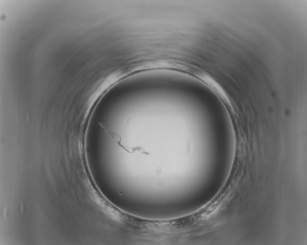 X0000064770813200602171823