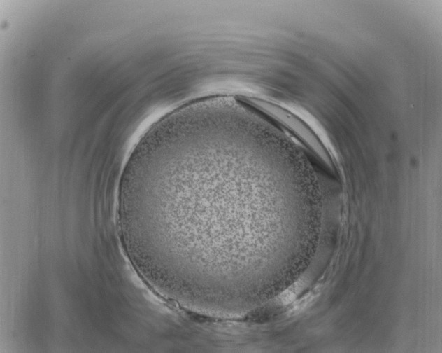 X0000064770815200602171823