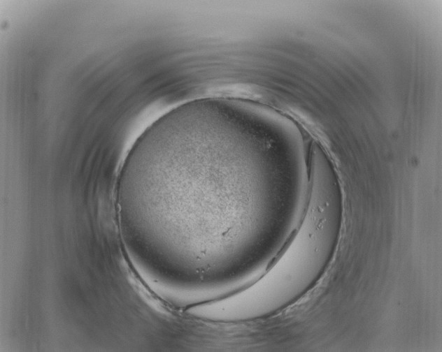 X0000064770816200602171823