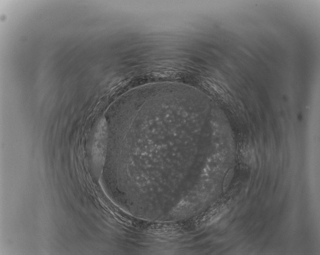 X0000064770817200602171822