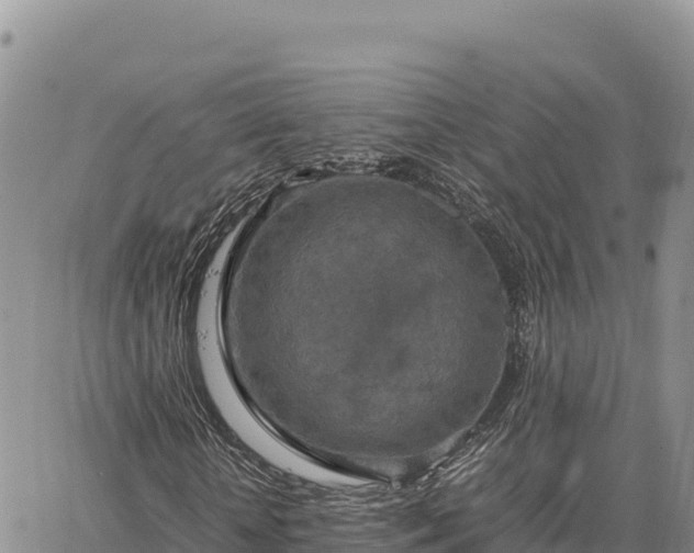 X0000064770818200602171822