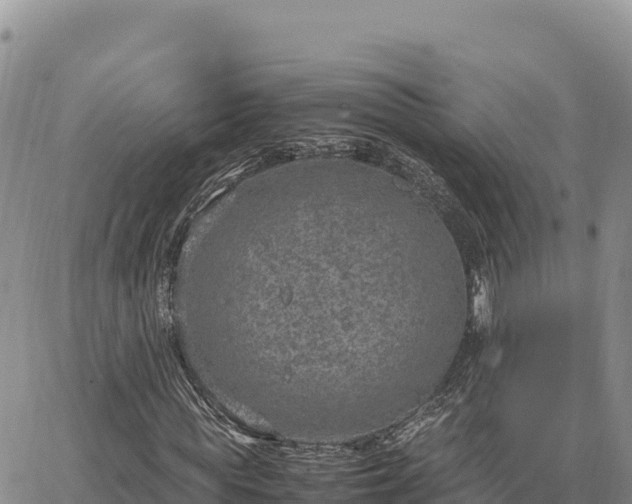 X0000064770819200602171822