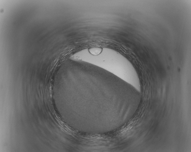 X0000064770820200602171822