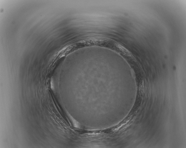 X0000064770822200602171822