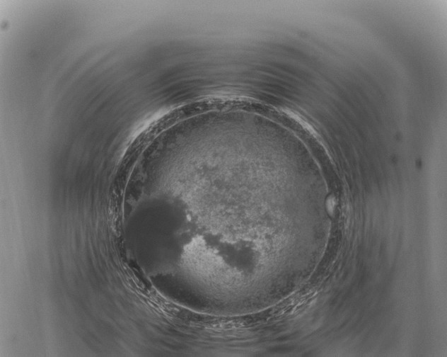 X0000064770823200602171822