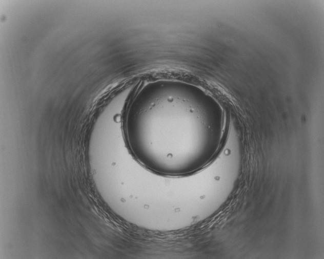 X0000064770824200602171822