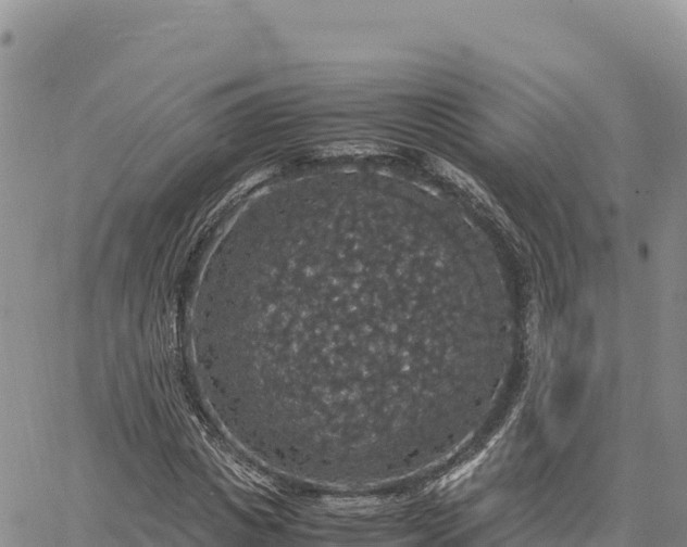 X0000064770825200602171822