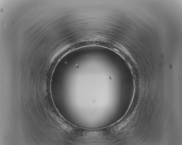 X0000064770826200602171822