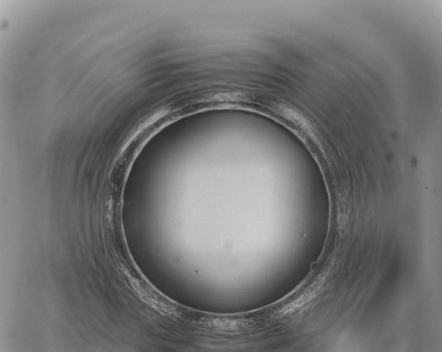 X0000064770827200602171822