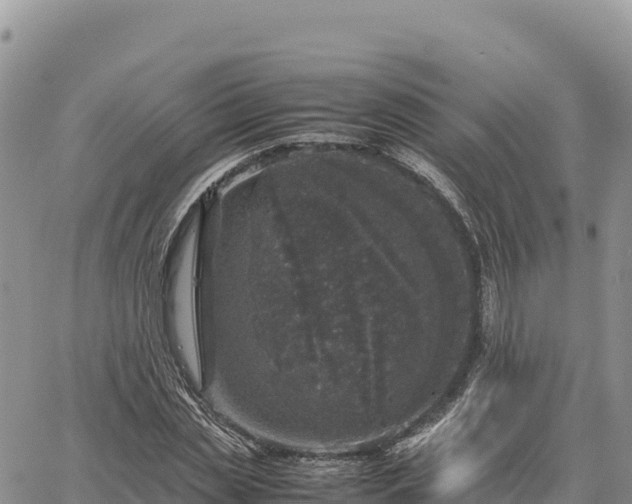 X0000064770829200602171822