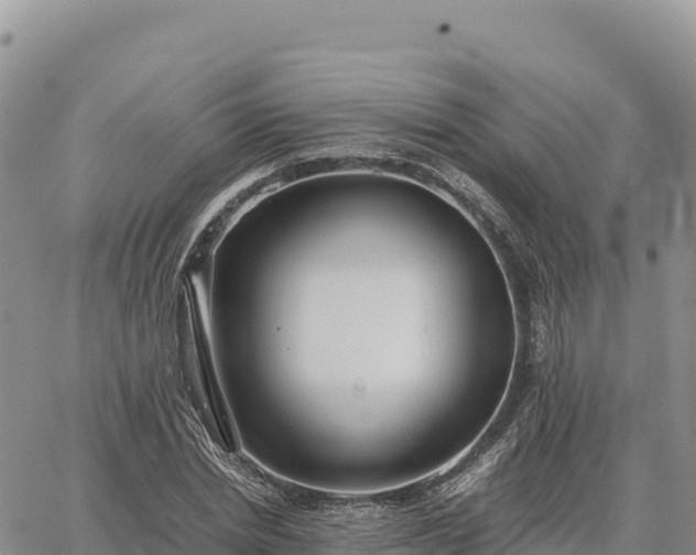 X0000064770830200602171822