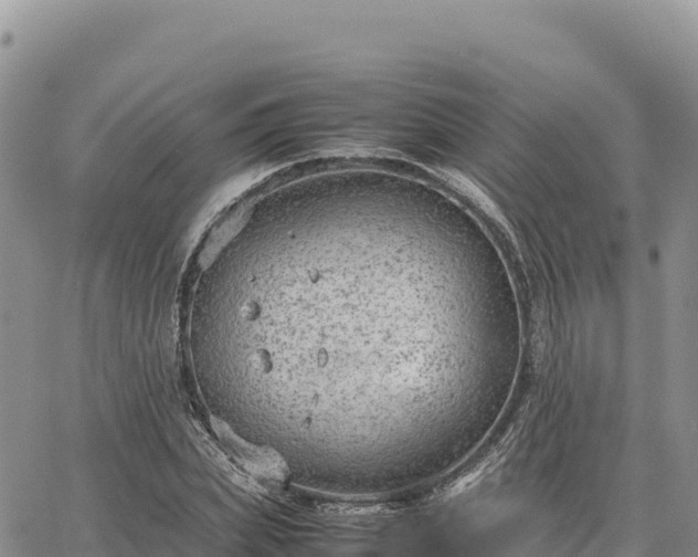 X0000064770831200602171822