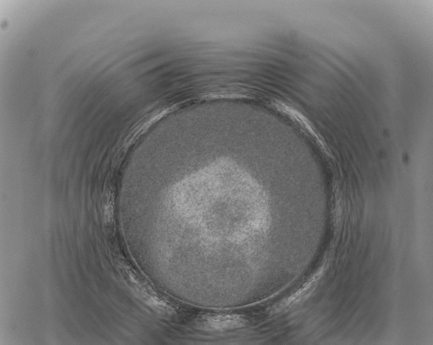 X0000064770833200602171822