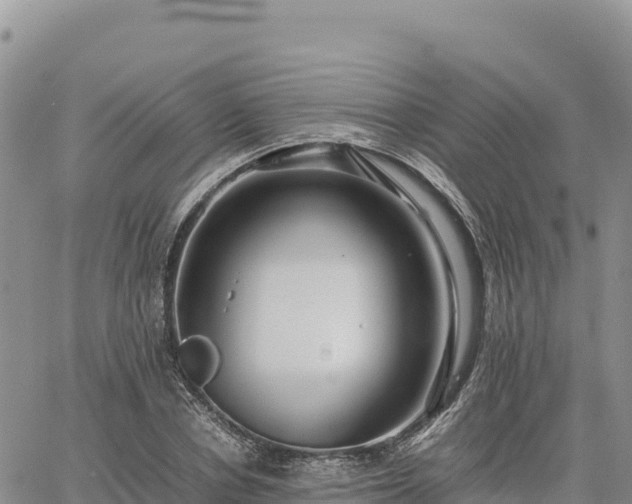 X0000064770834200602171822