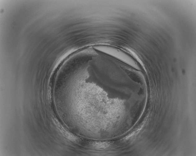 X0000064770835200602171822