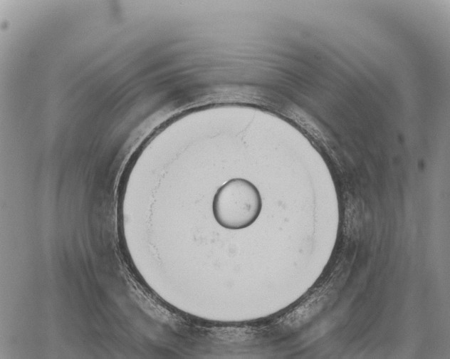 X0000064770836200602171822