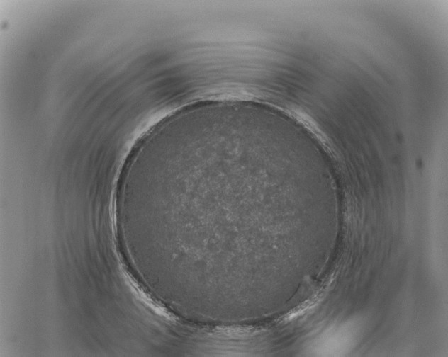 X0000064770840200602171822