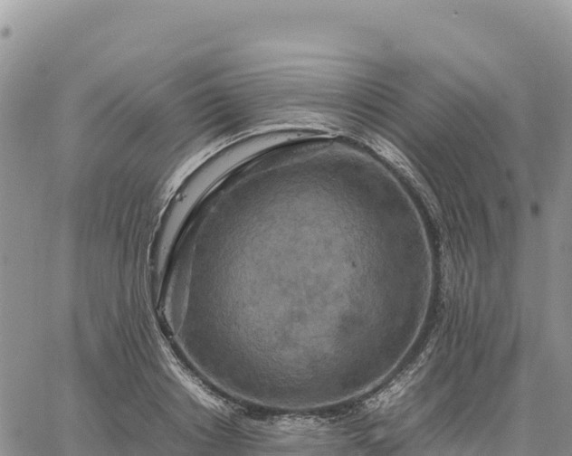 X0000064770842200602171822