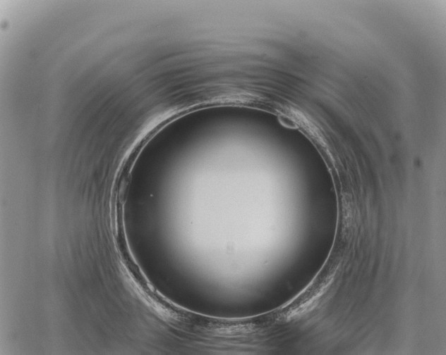 X0000064770843200602171822