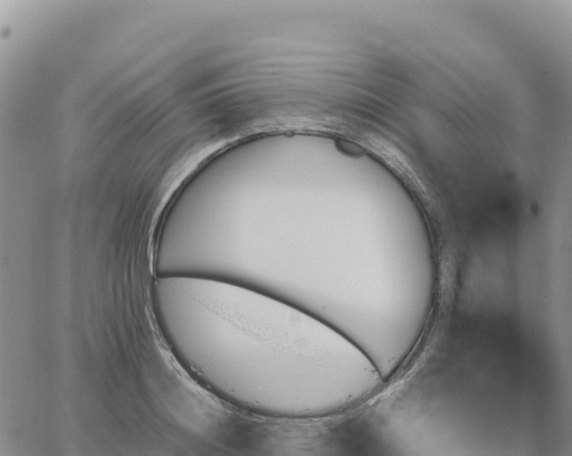 X0000064770844200602171822