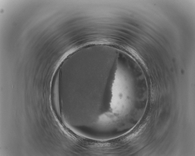 X0000064770845200602171822