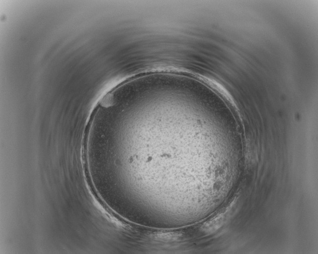 X0000064770847200602171822