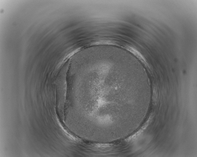 X0000064770849200602171822