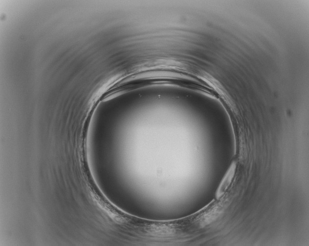 X0000064770850200602171822