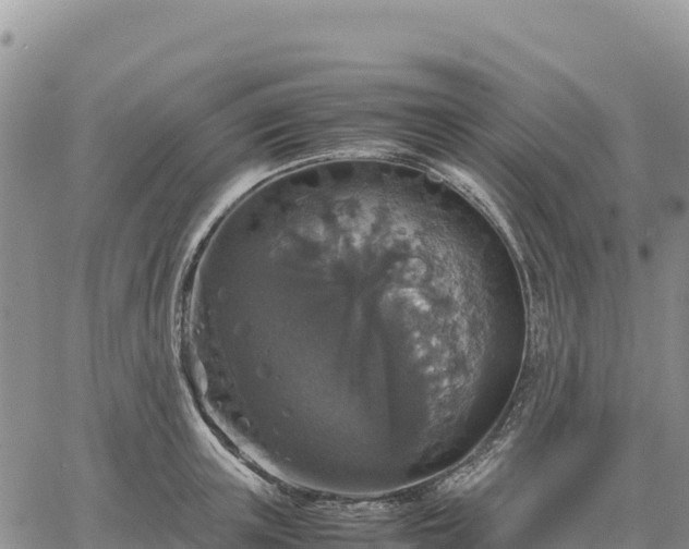 X0000064770851200602171823