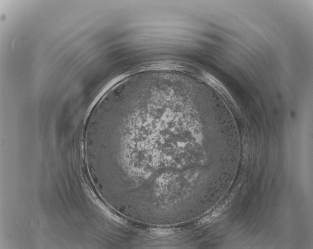 X0000064770852200602171823