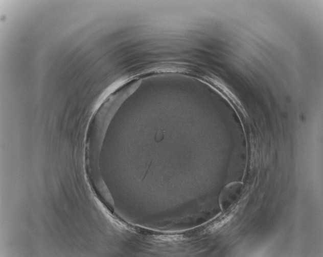 X0000064770853200602171823