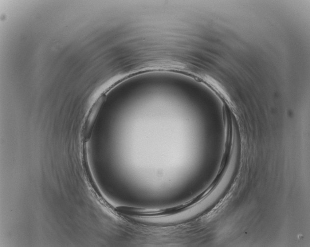 X0000064770854200602171823