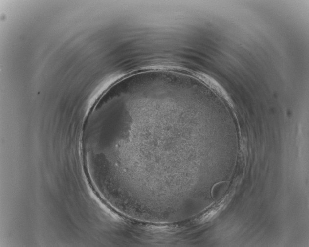 X0000064770855200602171823